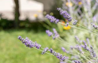 Tonina - private jacuzzi, free parking, terrace - Foto 26