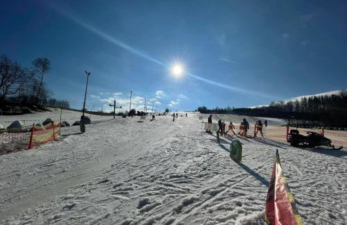 Domki Nad Stawami Apartament - Foto 5