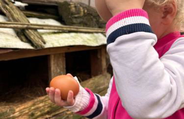 Historic Farmhouse Casa Del Chiodo - Foto 77