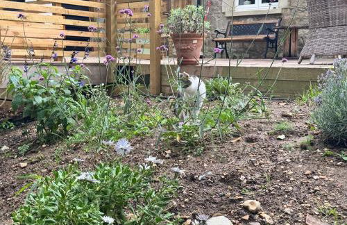 Tranquil Seabreeze - Photo 16