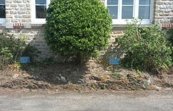 La Petite Ecole de la Baie - Foto 37