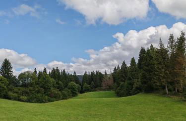 Chalet dans le parc régional du Haut-Jura - Foto 18