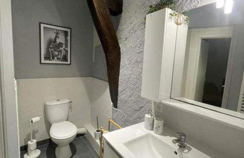 Gîte de charme, jardin privé, proche Tours, animaux admis - FR-1-381-637 - Foto 20