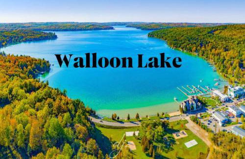 Petoskey Falls Escape-Hot Tub/Dogs/Petoskey/Boyne - Photo 57