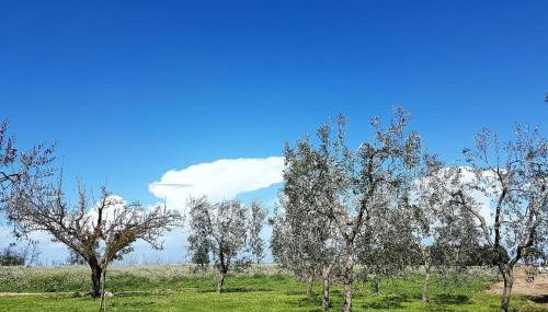 Agriturismo Masseria Mascitelli - Foto 2