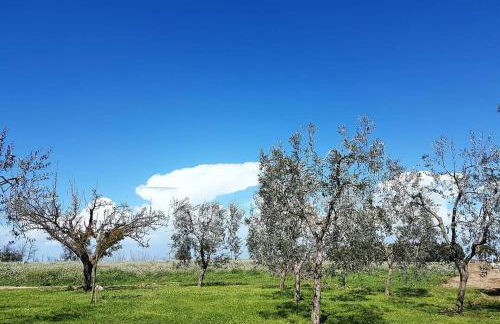 Agriturismo Masseria Mascitelli - Foto 2