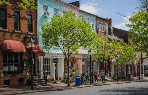 The Manor - Alexandria - Foto 4