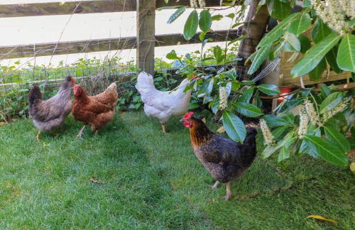 Pule Hill Farm - Foto 46