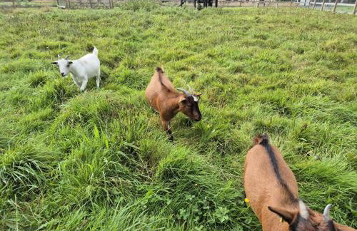 Villa Fleurie - Foto 44