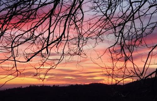 Yosemite Foothill Retreat - Private Guest Suite #3 - Foto 33