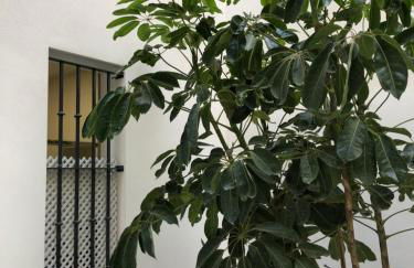 Jano PuertaTierra - Foto 25