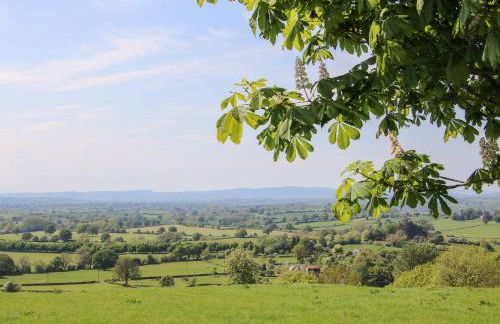 The Chestnuts - Foto 36