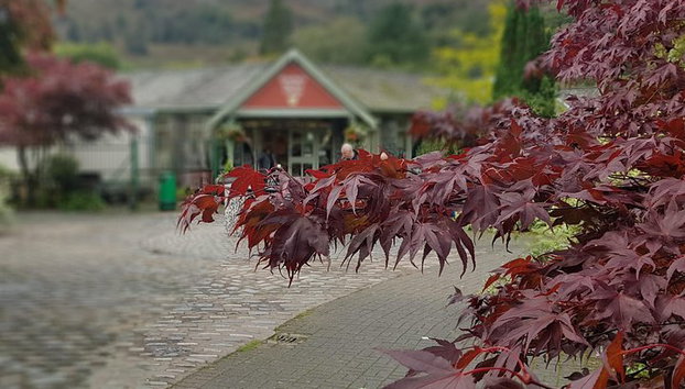 Landausflug: Lake District Adventure Sightseeing Tagesausflug von Liverpool - Foto 4