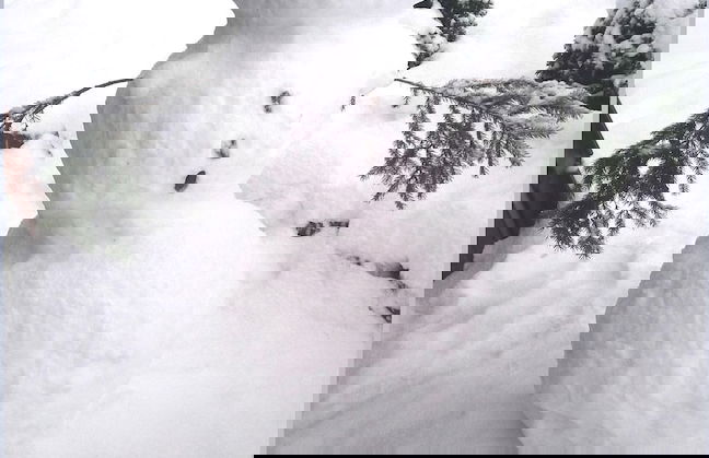 Magnific Holiday Home in Untervalme near Ski Area - Photo 19