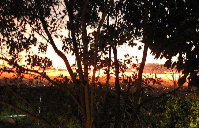 Impala Niezel Lodge - Foto 48