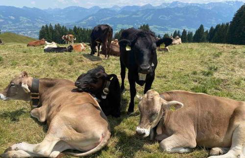 Cozy, modern and chic mit Bergblick - Photo 17