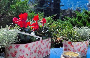 Ferienwohnung Alpenherz - Photo 20