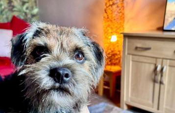 Room with a view - Foto 48