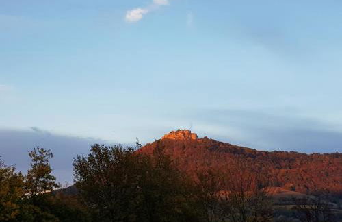 Ferien in Neuffen - Ferienwohnung Plaue - Foto 17
