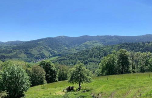 Ferme La Tourelle, nature & vue exceptionnelle - Foto 11