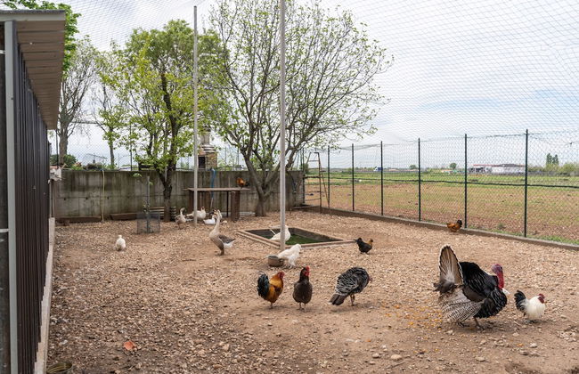 Agriturismo Pozzo Fiorito - Foto 69