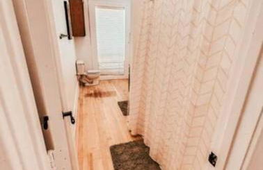 The Yellowrose - Foto 10