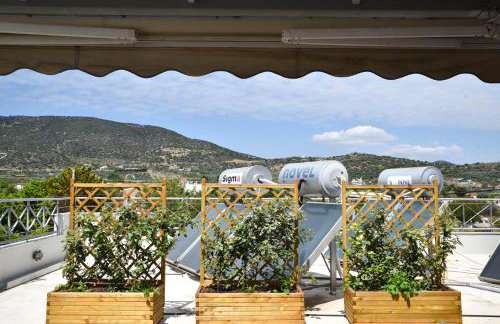 Luxury Beachfront Suite - Photo 15