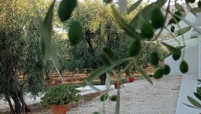 Dimora Basso - Foto 3