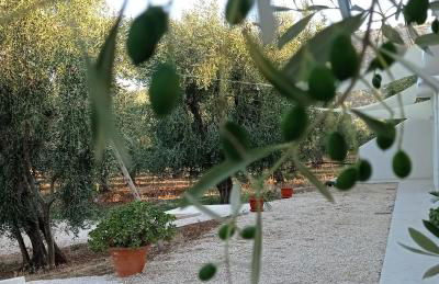 Dimora Basso - Foto 3