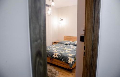 Apartamenty TRIO - Foto 59