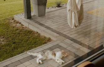 Lipa pod groniem - Photo 69