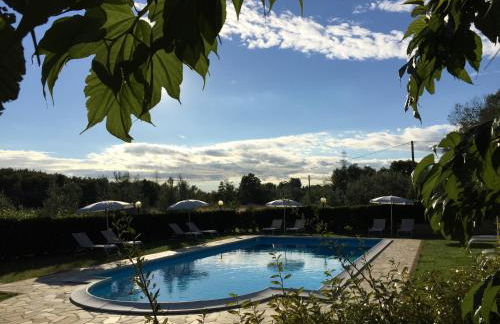 La Cantina del Podere dei Boni - Foto 19