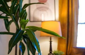 Mary's Place - Foto 7