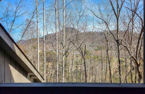 Hike, Golf and Swim! Rumbling Bald Resort Mtn Home - Photo 26