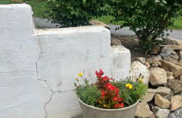 The Fishing Hole #4 Near Town - Foto 38