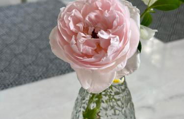 Recharge at Tranquil Sea Salt Cottage in Historic Wiscasset - Foto 47