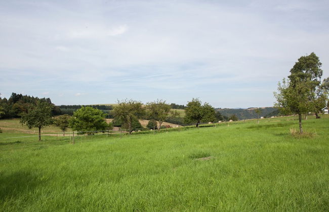 Attractive Apartment in Bettenfeld With Garden - Foto 24