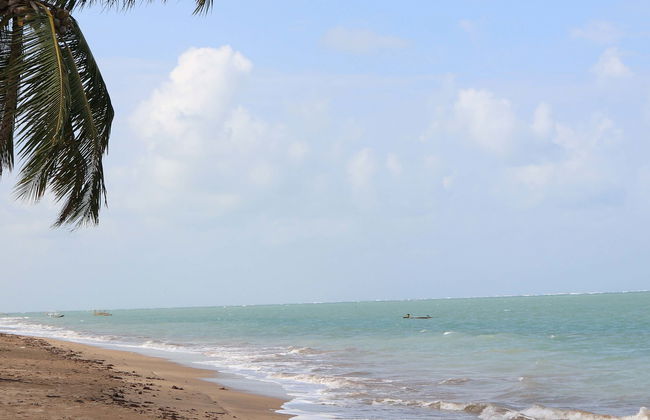 Escursione a Praia dos Carneiros - Foto 6