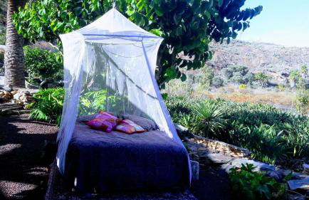 Casa Finca Doñana - Foto 5