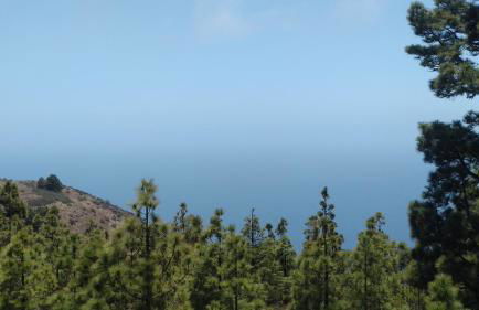 Casa Los Almendros Jacuzzi Garden - Foto 25