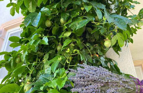 Apartments Petra - Photo 2