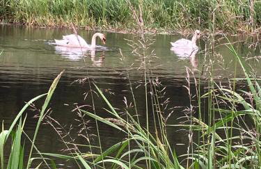 Wee Lyon Cottage Maybole 2 Bedroom Sleeps 4 - Foto 19