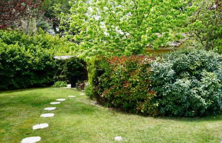 La belle histoire Gîte Montmirail - Foto 22