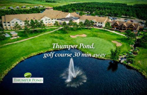 New Custom Big McDonald Lake Cabin With Pickle Ball - Foto 16