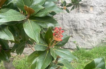 La villa des Carriers - maison avec piscine, 10 min mer - Foto 55