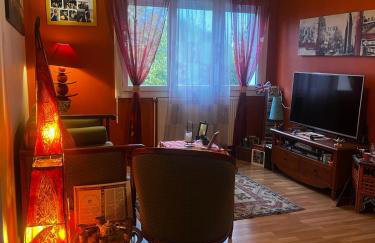 Appartement T3 Parking - Bordeaux - Foto 2