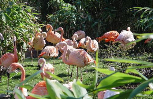 OLD PRINTING HOUSE - Modern I City I 2 Min HBF I E-Ladesäule - Foto 105