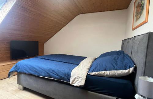 Beishan Appartements Nürnberg in Zentrum Dachgeschoss - Foto 3