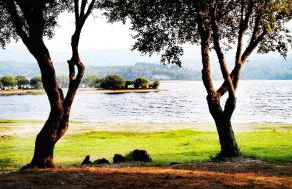 Apartamentos El Valle - Foto 20