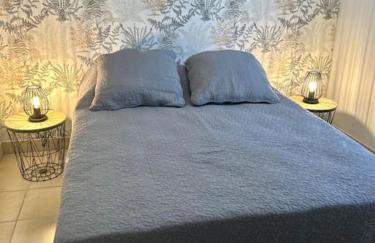 Martin Appartement Cambrai avec cour - Foto 3